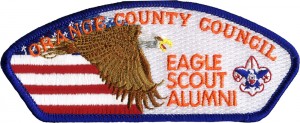 Eagle Flight Embroidered Patch Design Idea