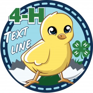 4-H Hatching Chick Embroidered Patch Design Idea