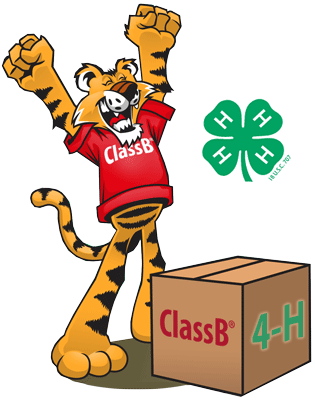 Tiger opening a box of 4-H custom t-shirts