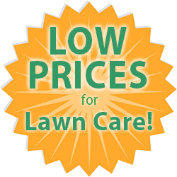 Low prices for lawn care custom t-shirts medallion