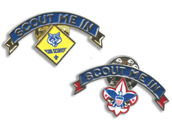 cub scout racer patches for pinewood derby