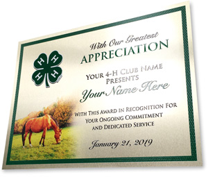 4-h real metal plate plaque