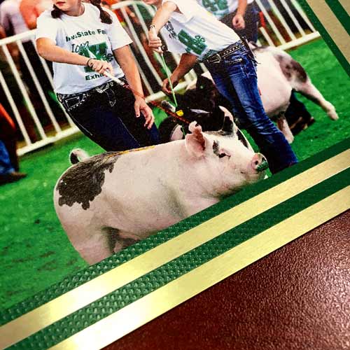 4-h plaque image showing tiny details of photo