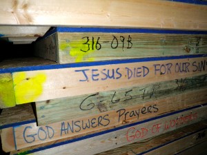 Jesus died for our sins