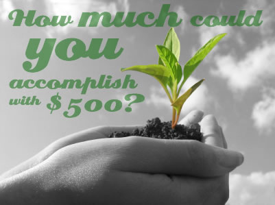 How much could you accomplish with $500? Hands holding a seedling