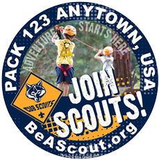 Join Cub Scouts window sticker